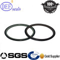 PTFE Rotary Seals for Shaft Grs Seals